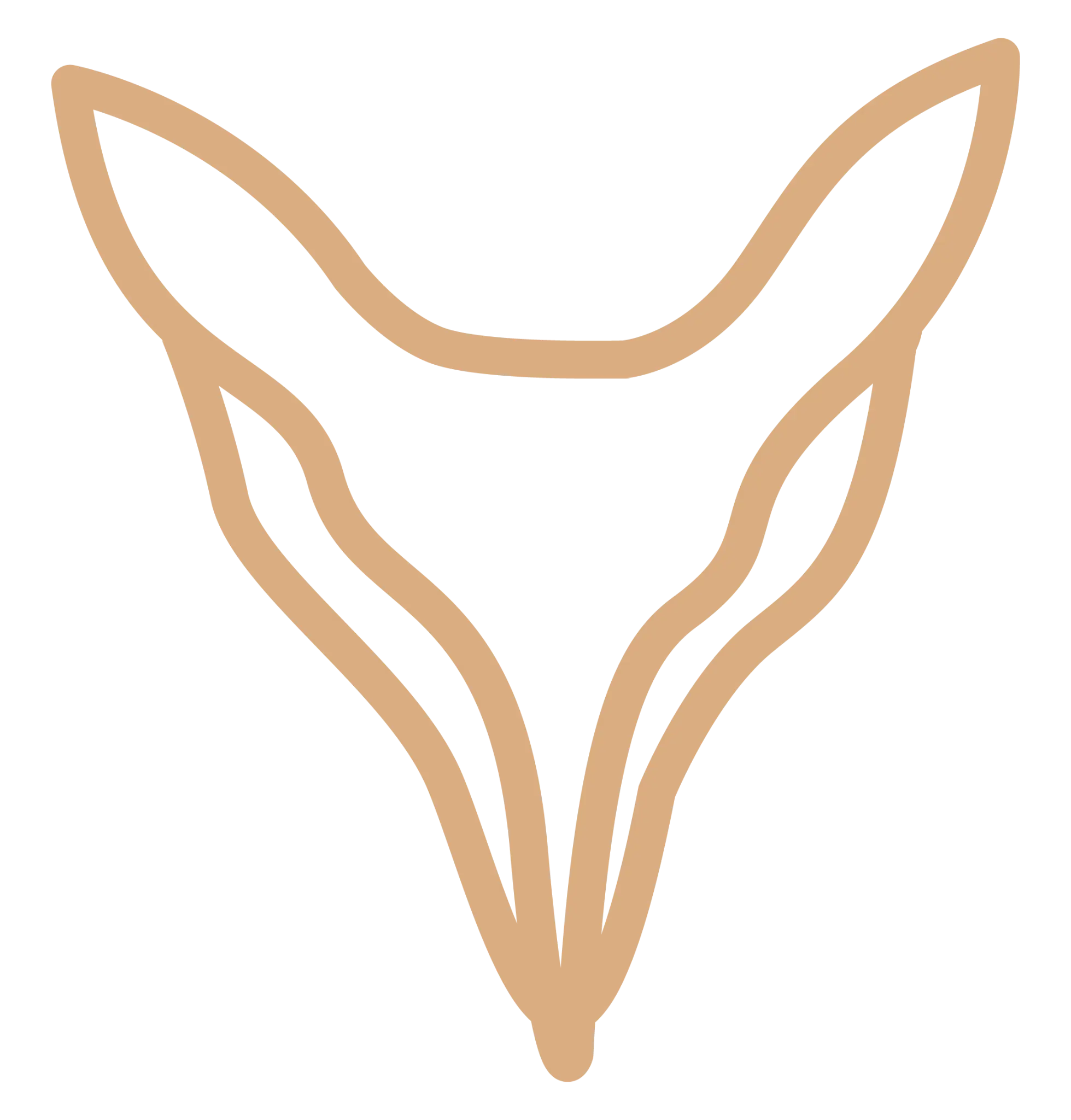 Rancho del Zorro